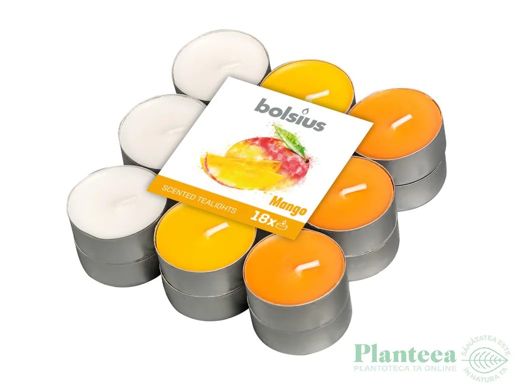 Lumanari pastila parfumate 4h magnolie 18b - BOLSIUS