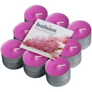 Lumanari pastila parfumate 4h liliac 18b - BOLSIUS