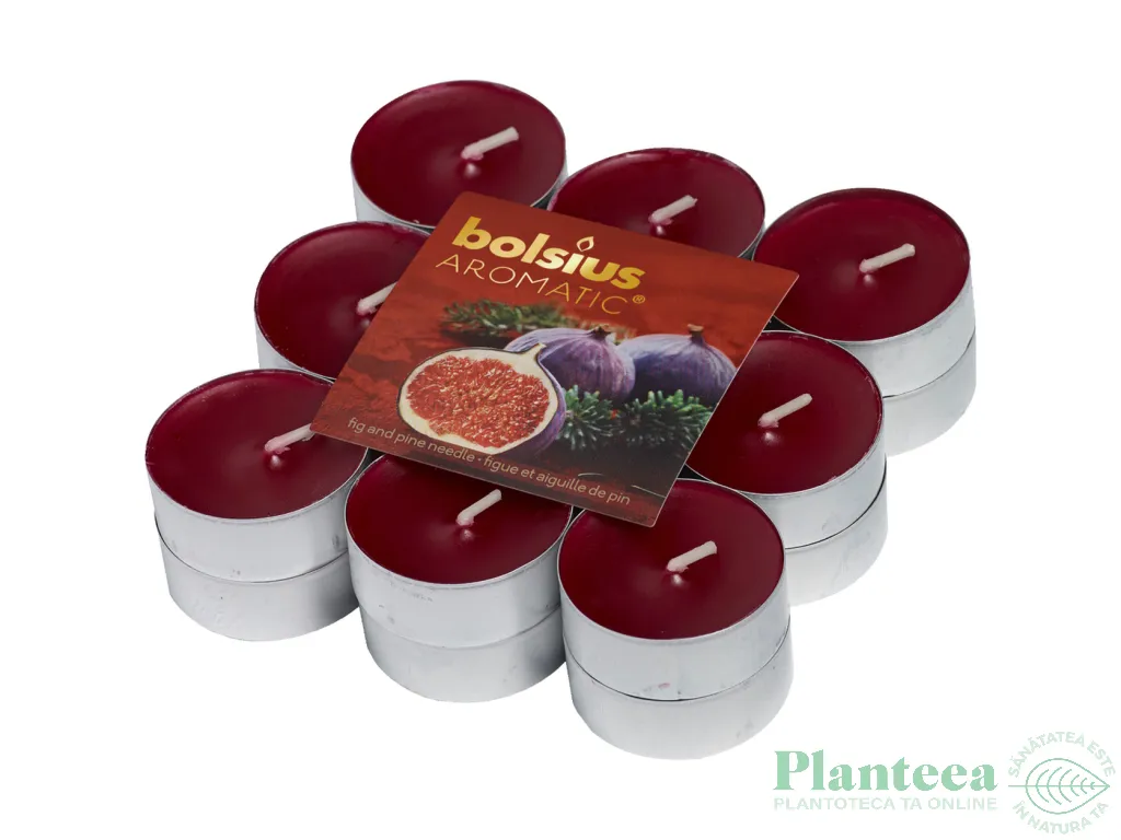 Lumanari pastila parfumate 4h smochine pin 18b - BOLSIUS