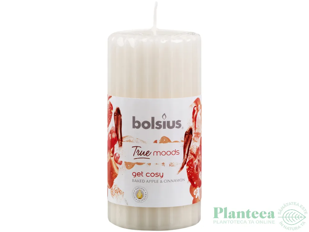 Lumanare parfumata stalp 33h get cosy mar copt scortisoara True Moods 260g - BOLSIUS