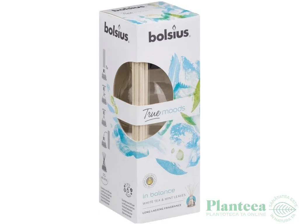 Odorizant difuzor bete casa ceai alb menta True Moods 45ml - BOLSIUS