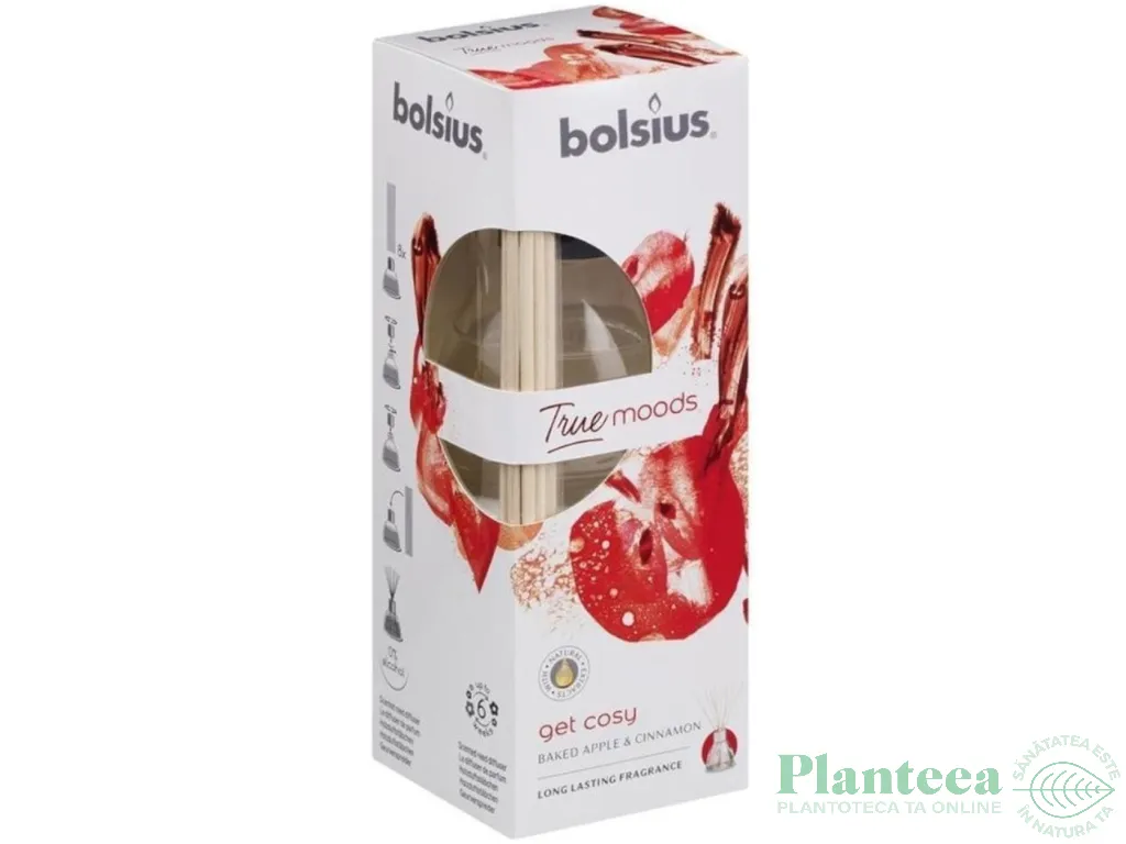 Odorizant difuzor bete casa mar copt scortisoara True Moods 45ml - BOLSIUS