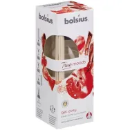 Odorizant difuzor bete casa mar copt scortisoara True Moods 45ml - BOLSIUS