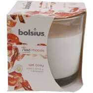 Lumanare parfumata pahar 14h get cosy mar scortisoara True Moods 300g - BOLSIUS
