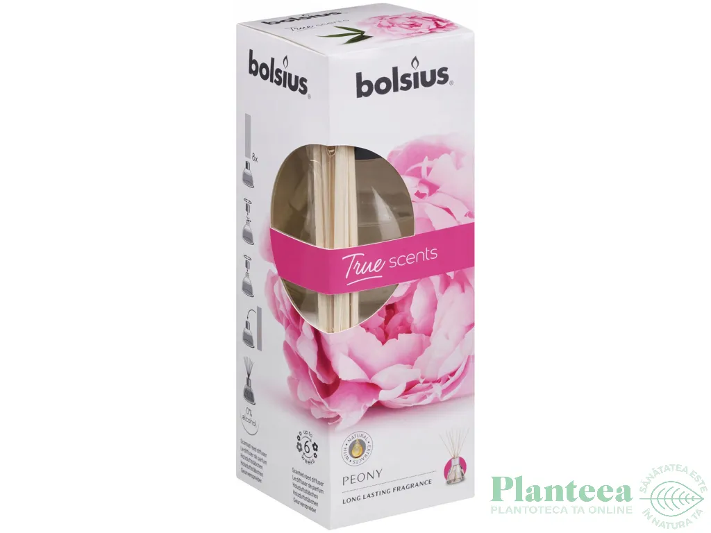 Odorizant difuzor bete casa bujor True Scents 45ml - BOLSIUS