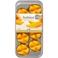 Pastile parafina mango 8b 75g - BOLSIUS