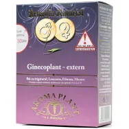 Ceai Ginecoplant [afectiuni ginecologice externe] 320g - BONCHIS
