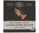 Ceai coada soricelului 80g - BONCHIS