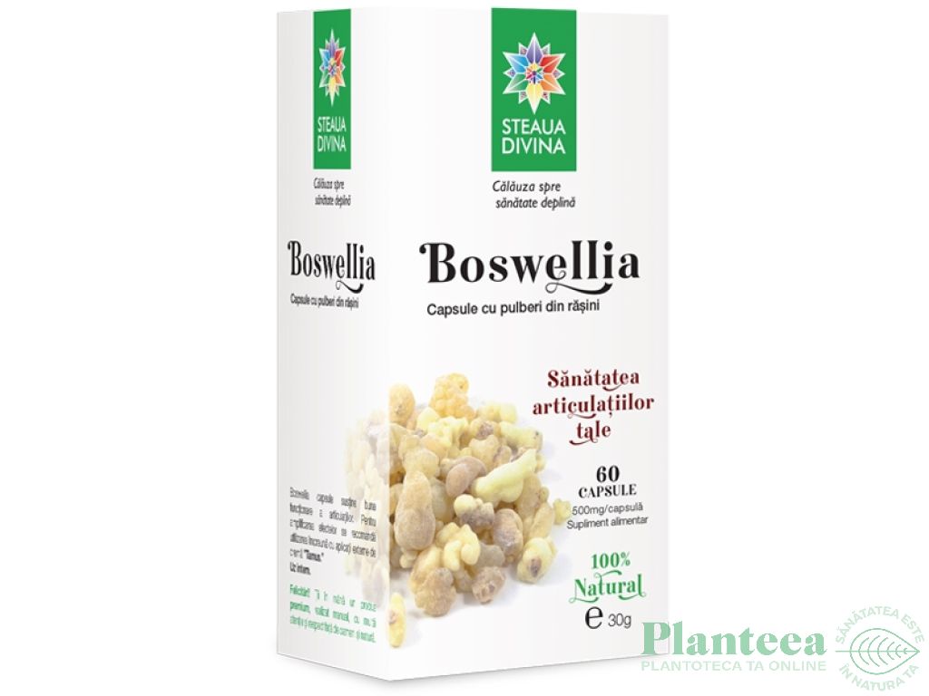 Boswellia 500mg 60cps - SANTO RAPHAEL
