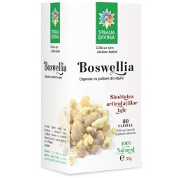 Boswellia 500mg 60cps - SANTO RAPHAEL