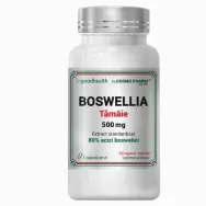 Boswellia serrata [tamaie] 500mg 60cps - COSMO PHARM