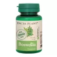 Boswellia 60cp - DACIA PLANT