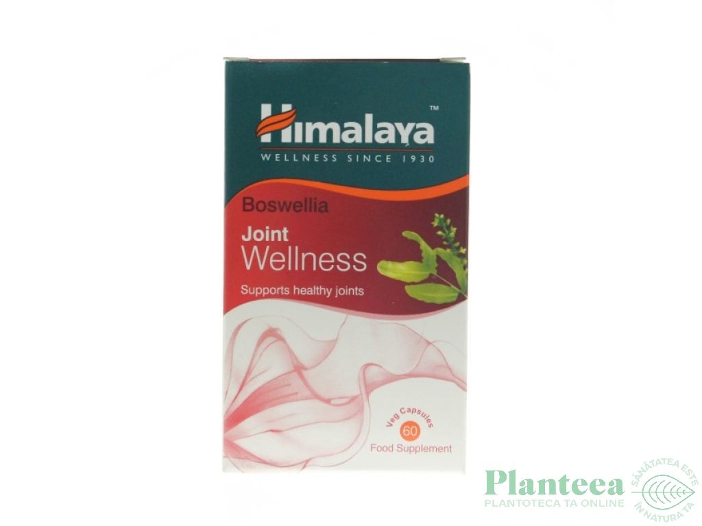 Boswellia 60cps - HIMALAYA HERBAL