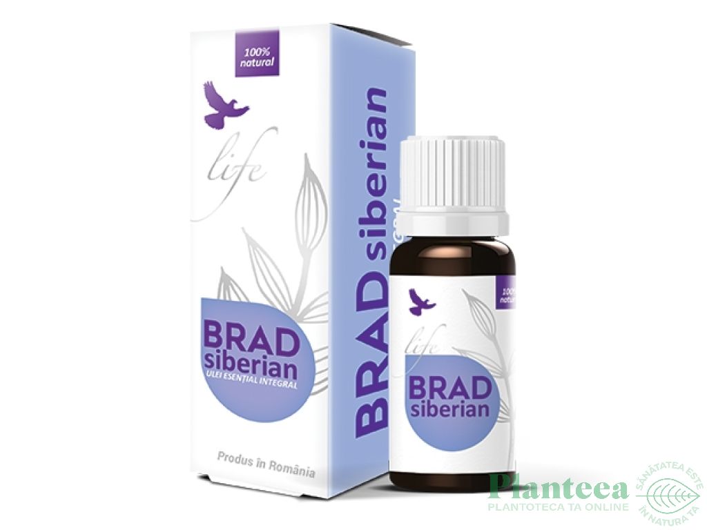 Ulei esential integral brad siberian 10ml - LIFE