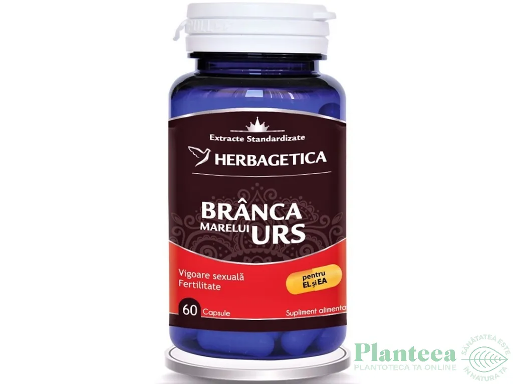Branca marelui urs 60cps - HERBAGETICA