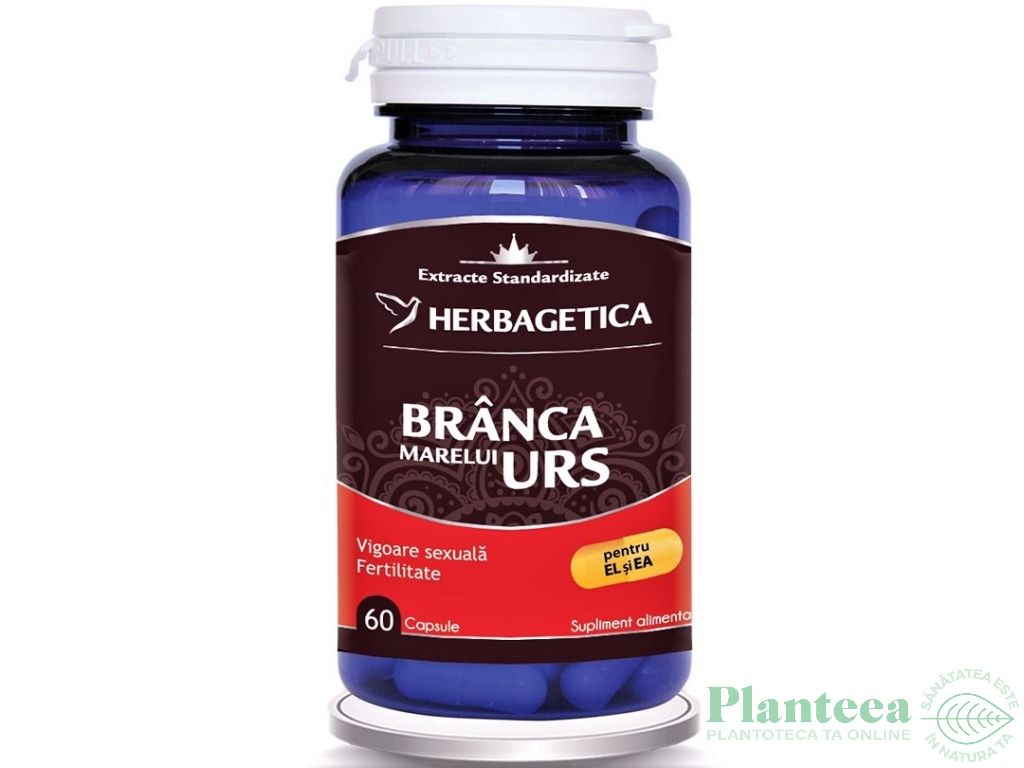 Branca marelui urs 60cps - HERBAGETICA