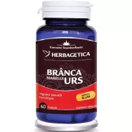 Branca marelui urs 60cps - HERBAGETICA