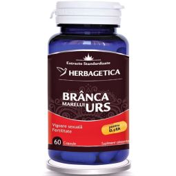 Branca marelui urs 60cps - HERBAGETICA