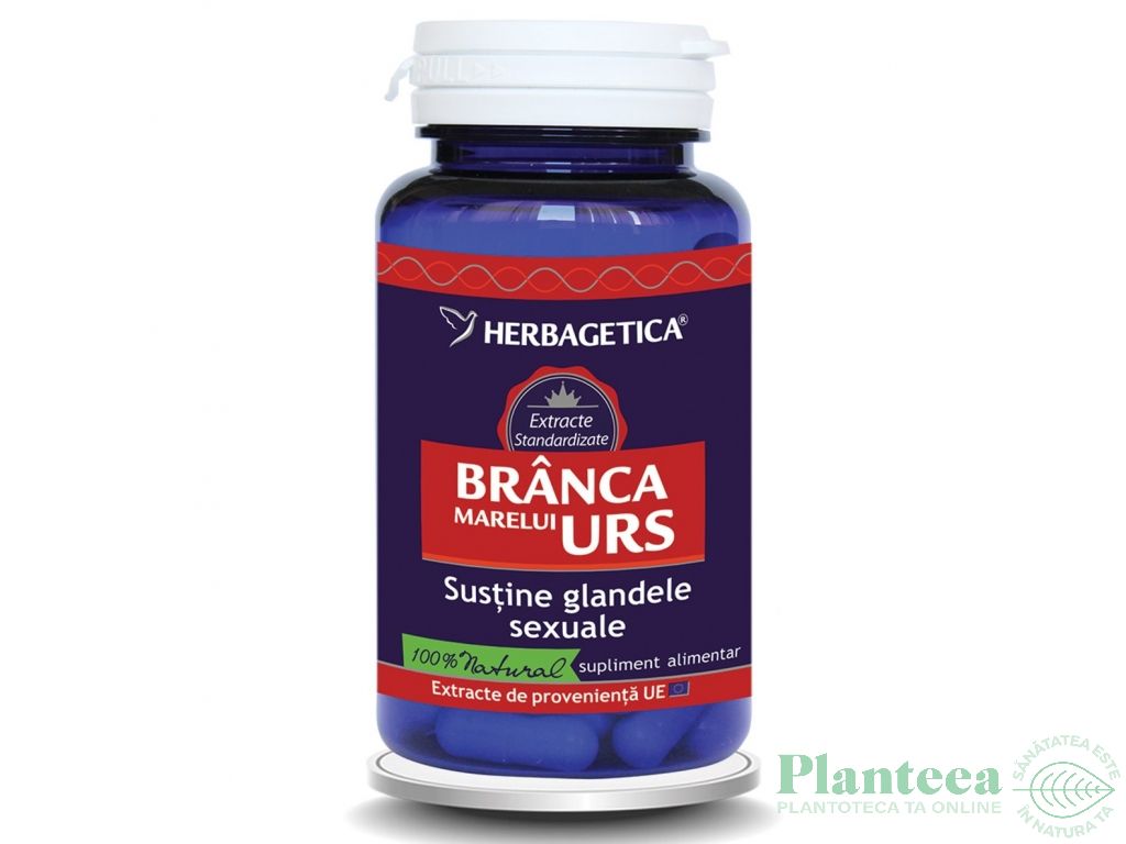 Branca marelui urs 30cps - HERBAGETICA