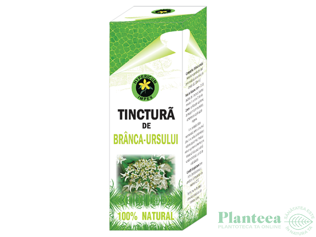 Tinctura branca ursului 50ml - HYPERICUM PLANT