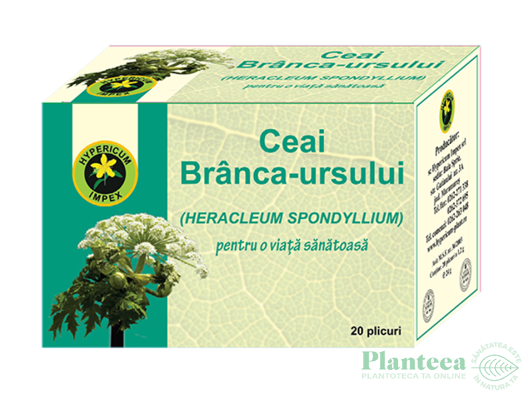 Ceai branca ursului 20dz - HYPERICUM PLANT