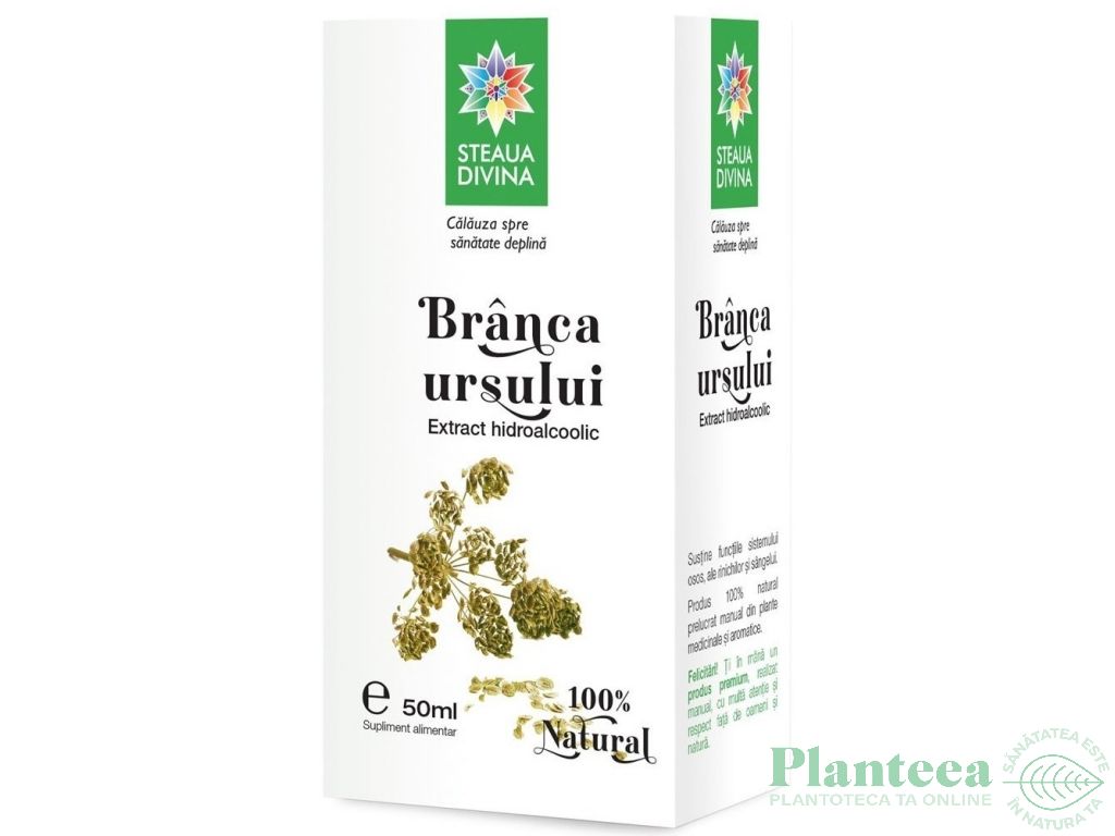 Tinctura branca ursului 50ml - SANTO RAPHAEL