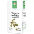 Tinctura branca ursului 50ml - SANTO RAPHAEL