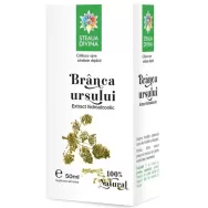 Tinctura branca ursului 50ml - SANTO RAPHAEL