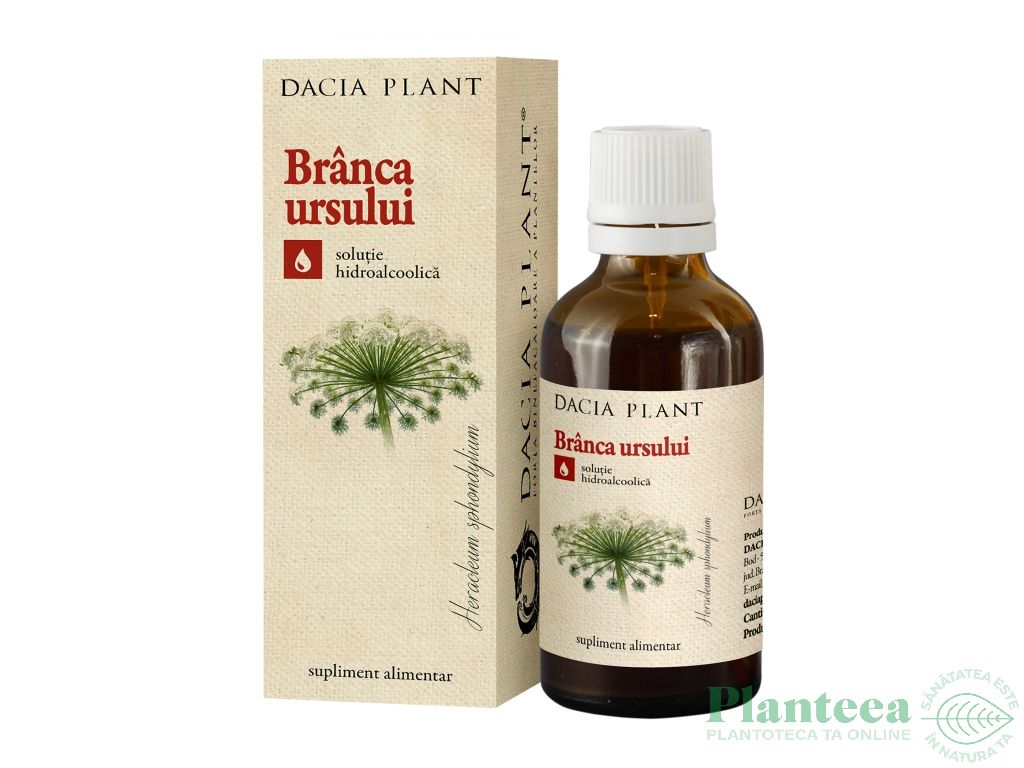 Tinctura branca ursului 50ml - DACIA PLANT