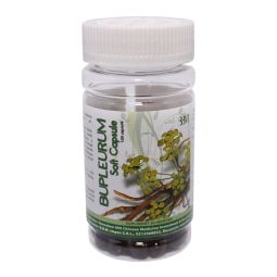 Bupleurum 100cps - SHENZHEN 999 CHINESE MEDICINE