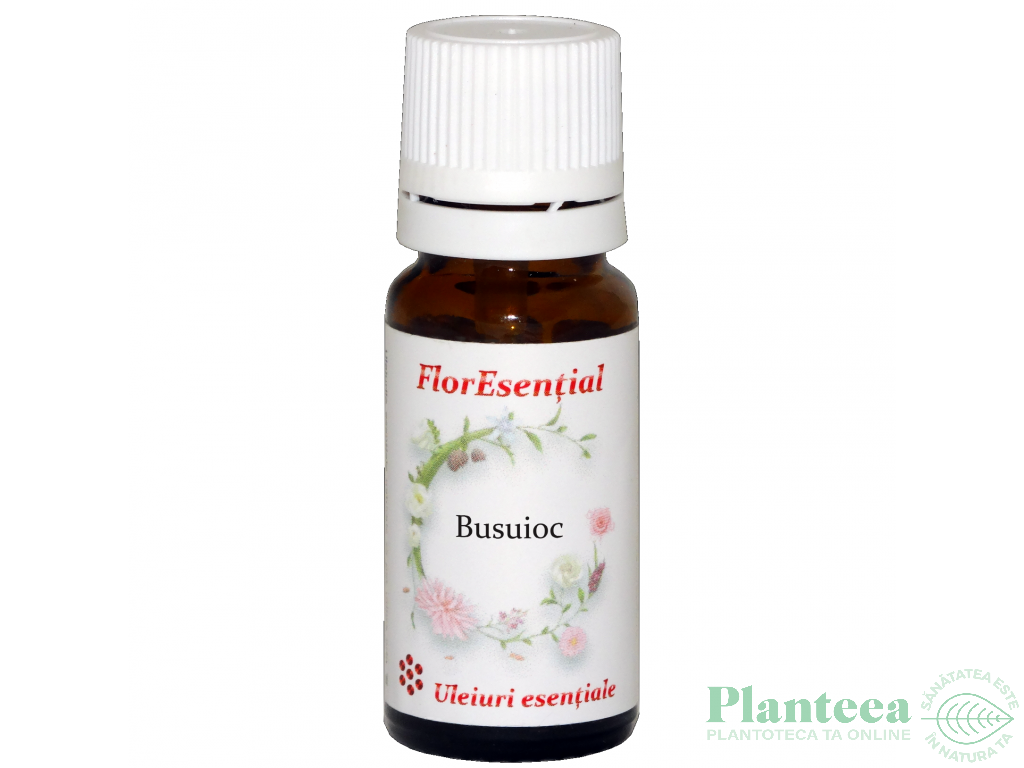 Ulei esential busuioc 10ml - AQUA NANO