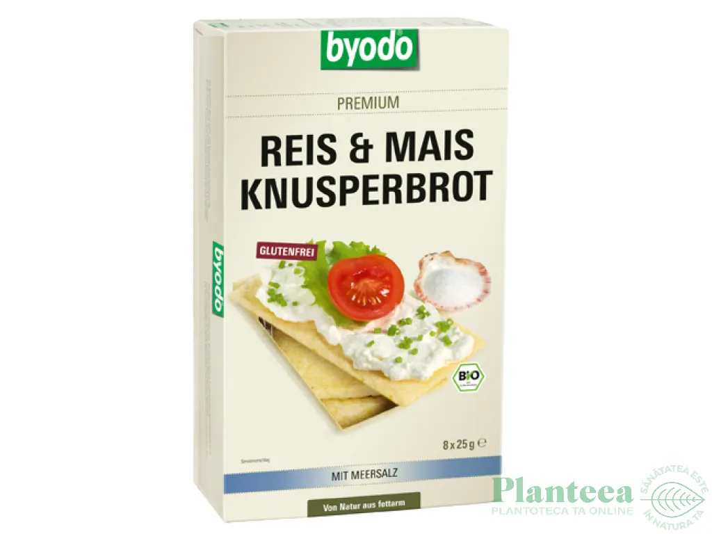 Paine crocanta orez porumb fara gluten cu sare 200g - BYODO