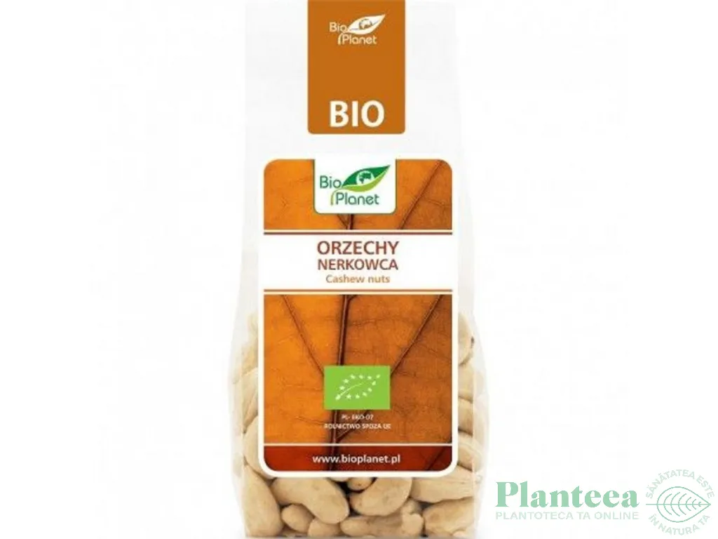 Caju crud bio 100g - BIO PLANET