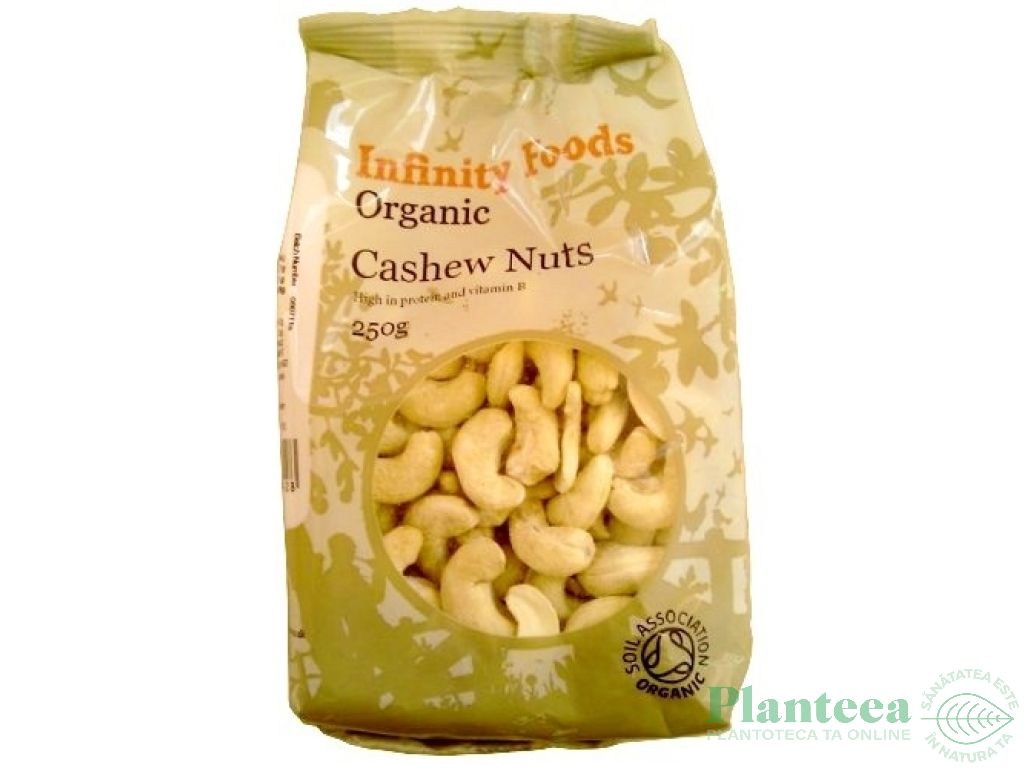 Caju crud 250g - INFINITY FOODS