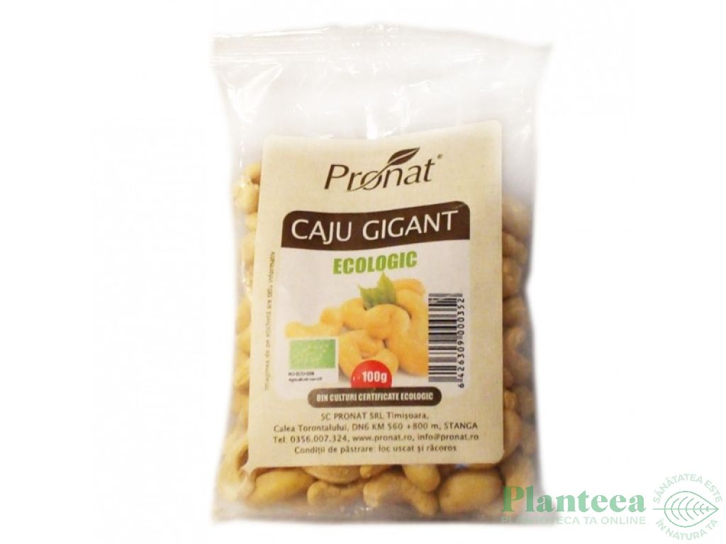 Caju gigant crud eco 100g - PRONAT