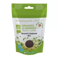 Seminte broccoli calabrese pt germinat eco 100g - GERMLINE