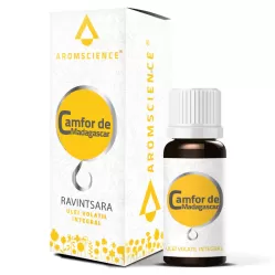 Ulei esential camfor Madagascar 10ml - AROM SCIENCE