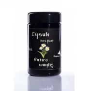 Capsule Entero Complex 100cps - NERA PLANT