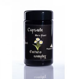 Capsule Entero Complex 100cps - NERA PLANT