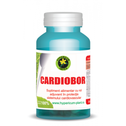 Cardiobor 60cps - HYPERICUM PLANT