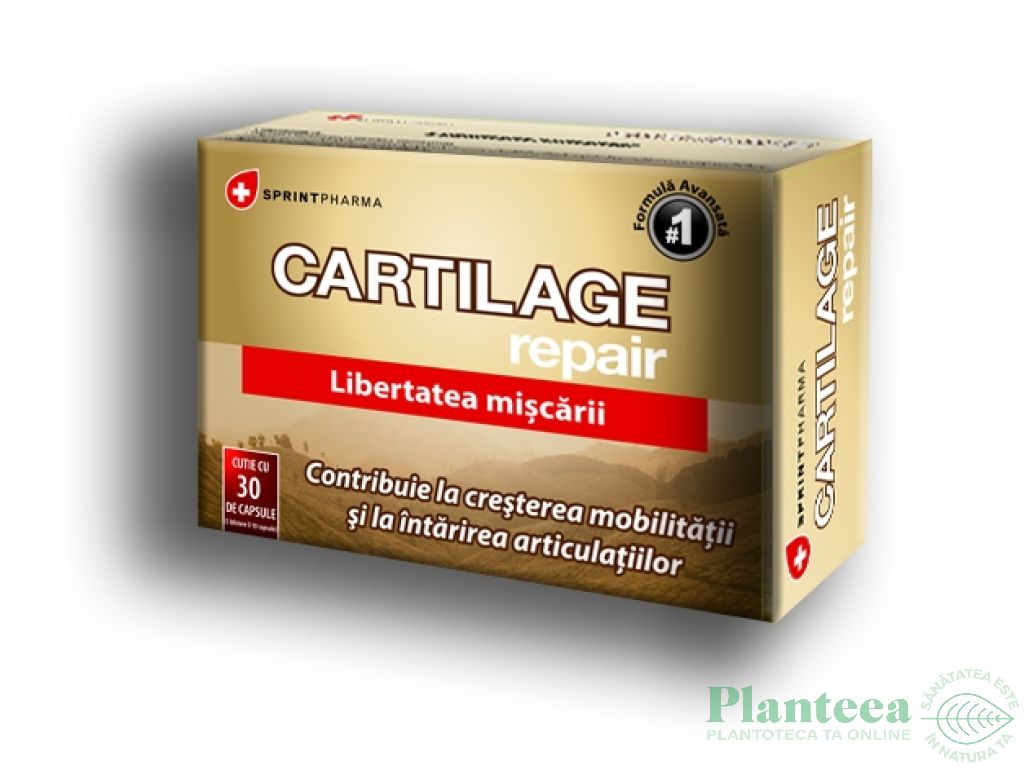 Cartilage repair 30cps - SPRINT PHARMA