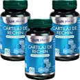 Set Cartilaj rechin 3x60cps - DVR PHARM