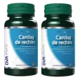Pachet Cartilaj rechin 60+30cps - DVR PHARM
