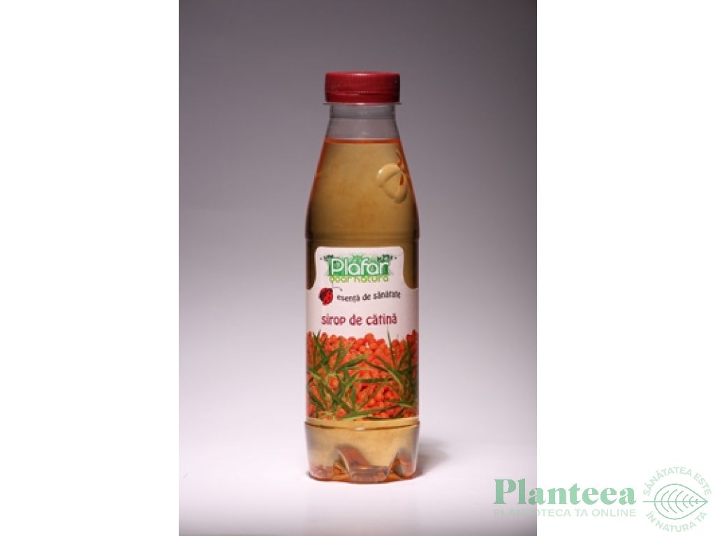 Sirop catina 500ml - PLAFAR