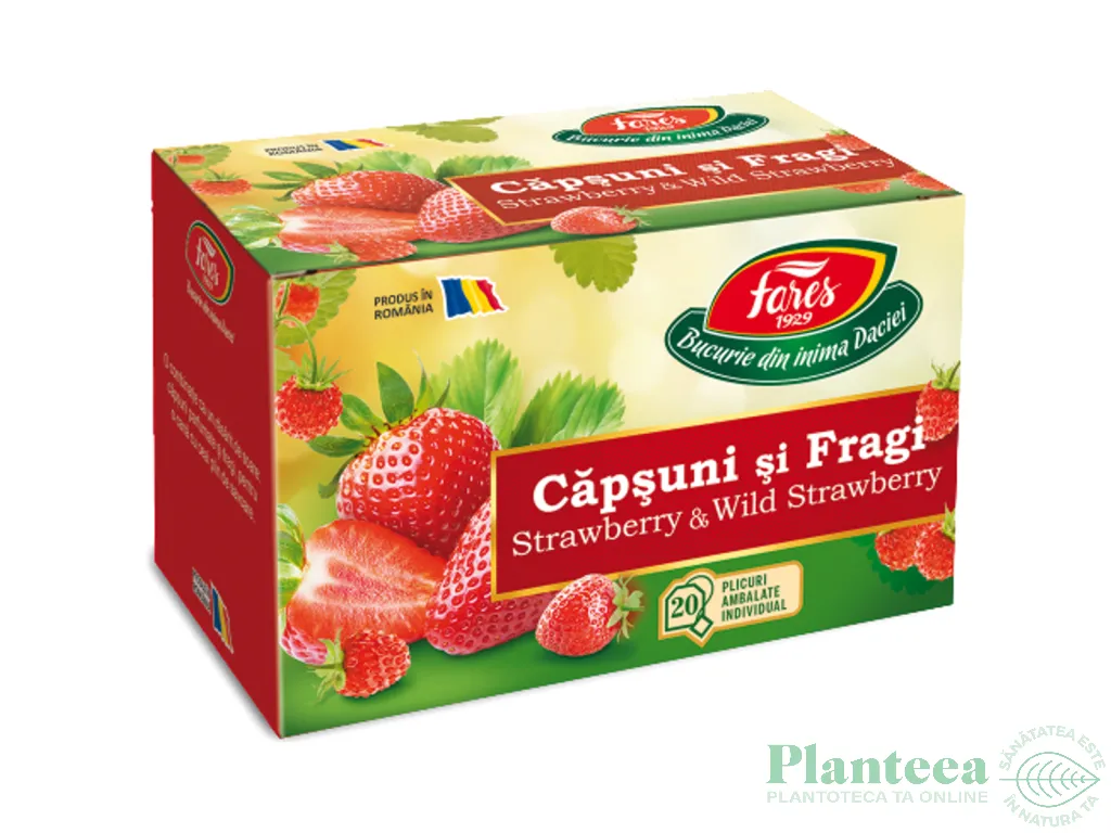 Ceai capsuni fragi refill snur 20dz - FARES
