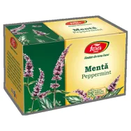 Ceai menta refill 20dz - FARES
