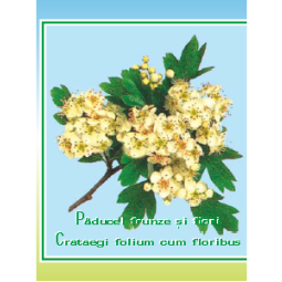 Ceai paducel flori frunze 50g - CYANI