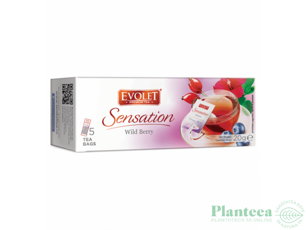 Ceai fructe padure Grandpack Sensation 5dz - EVOLET