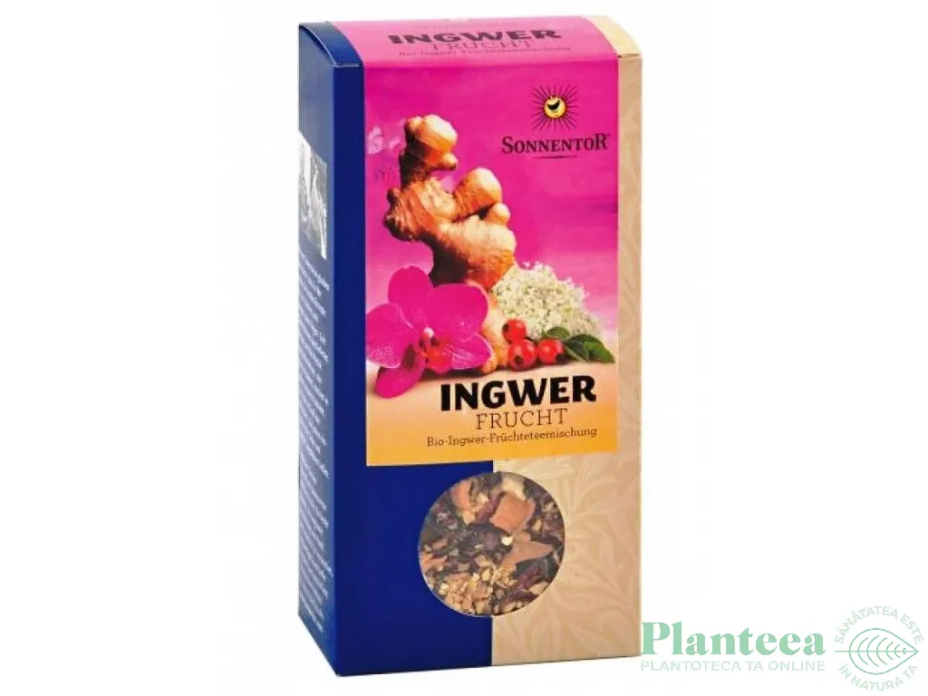 Ceai ghimbir cu fructe eco 100g - SONNENTOR