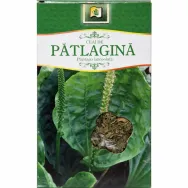 Ceai patlagina 50g - STEFMAR